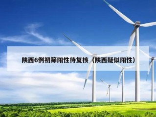 陕西6例初筛阳性待复核（陕西疑似阳性）