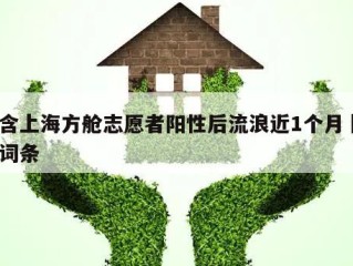 包含上海方舱志愿者阳性后流浪近1个月㊙️的词条
