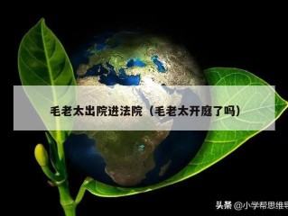 毛老太出院进法院（毛老太开庭了吗）